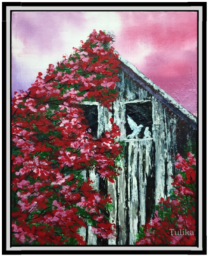 Old Shed