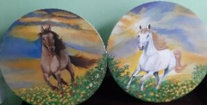 Brown and White: Horses Pair