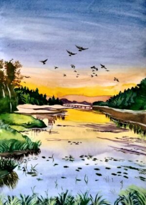 "Morning View"